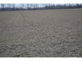 Property photo 61 - 175 Acres Offered in 5 Tracts - Tontogany, Ohio Farm Land Auction